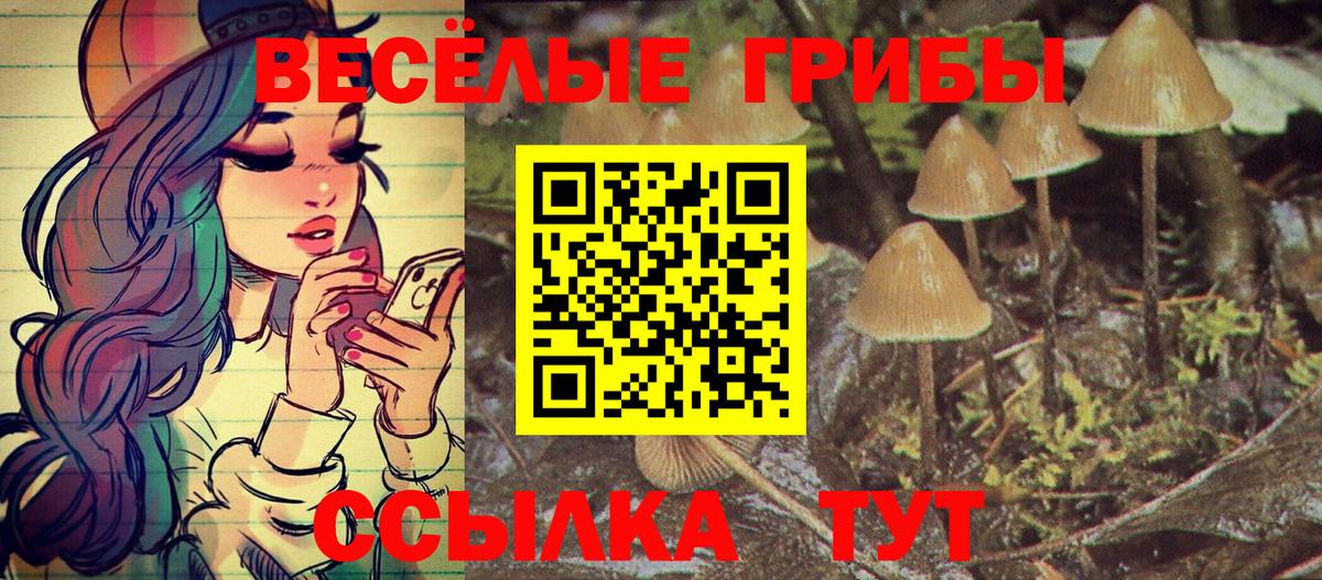 Галлюциногенные грибы Magic Shrooms  Вход с VPN  Гусев 