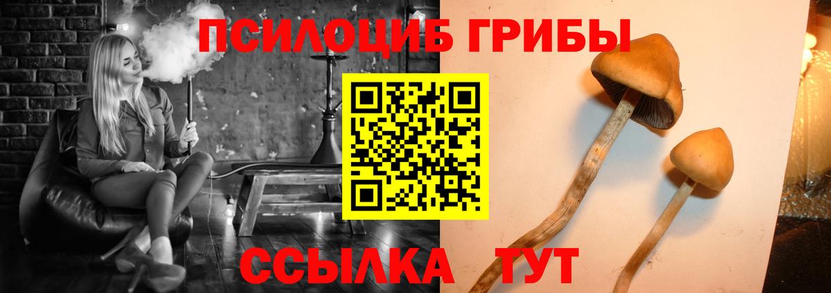 Кетамин Гусев